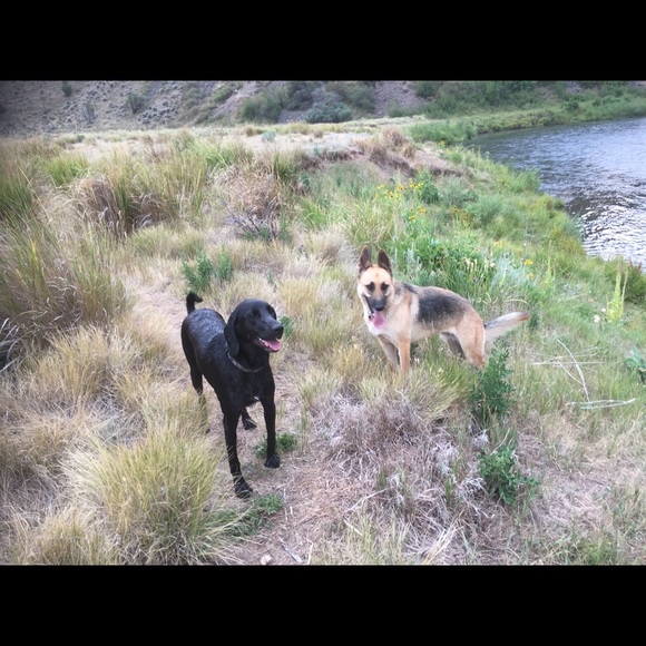 Meet your Posher, KP.  Posh Ambassador - Picture 2 of 9